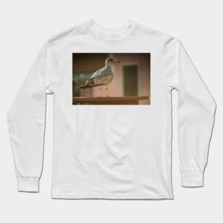 Beach Bird Long Sleeve T-Shirt